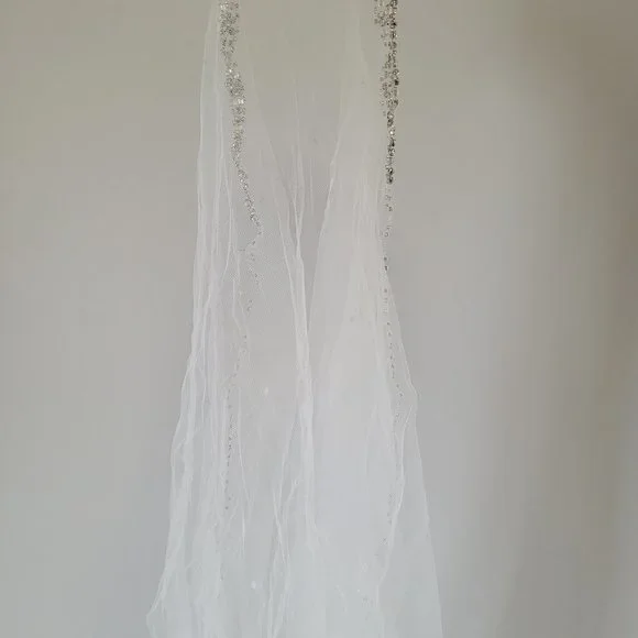 Wedding Dress and Veil - Picture 4 of 4